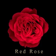 Red Rose Theme +HOME