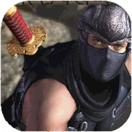 RPG Ninja Quest 3D