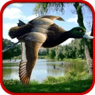 Sniper Duck Hunting