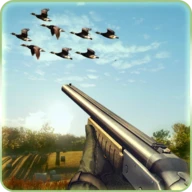 Wild Duck Hunting 2019