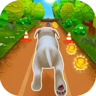 Pet Run - Puppy Dog Game