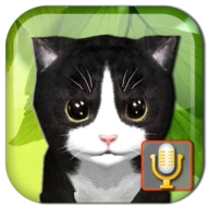 Talking Kittens virtual cat