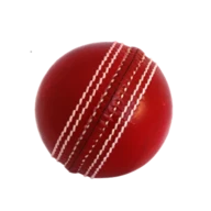 Cricket Simulator