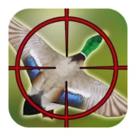 Duck Hunting