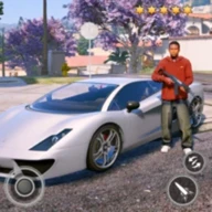 Gangster Fight - Vegas Crime S