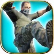 Real Strike Tiger Fighting HD