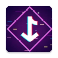 TikDown: Downloader for TikTok