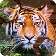 Hexa Jigsaw Puzzle