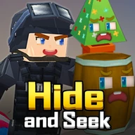 Hide and Seek