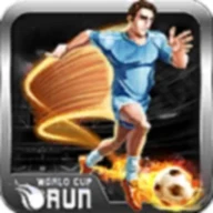 World Cup Run