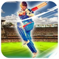 Cricket 2024