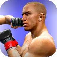 MMA Kung Fu 3d: Fighting Games