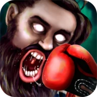Boxing Combat