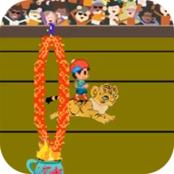Circus