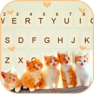 Cute Kittens Keyboard Backgrou