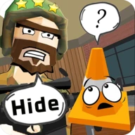 Hide