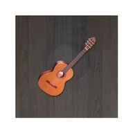Guitar Simulator