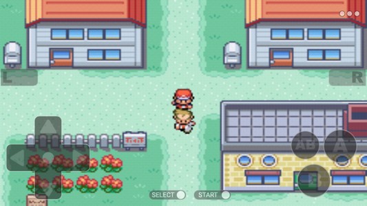 Pokemon Collection