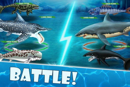 Shark World