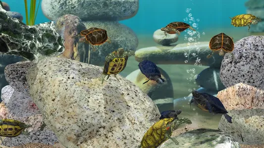 Fish Farm 3 - Aquarium