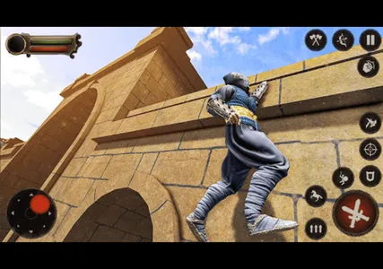 Ninja Assassin Shadow Master