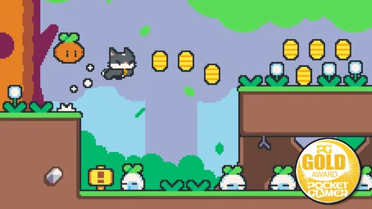 Super Cat Bros