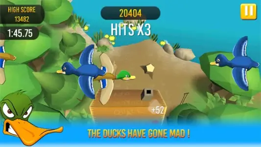 Duck Hunting Mania!