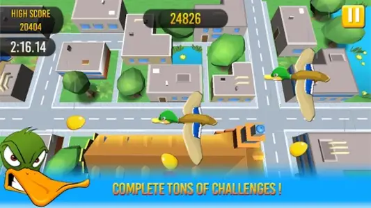 Duck Hunting Mania!
