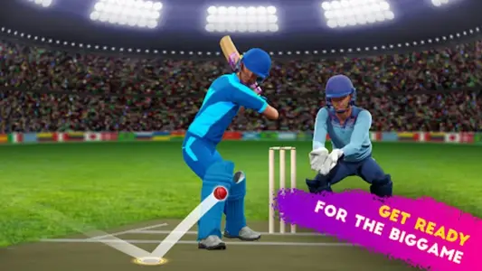 Cricket - T20 World Champions