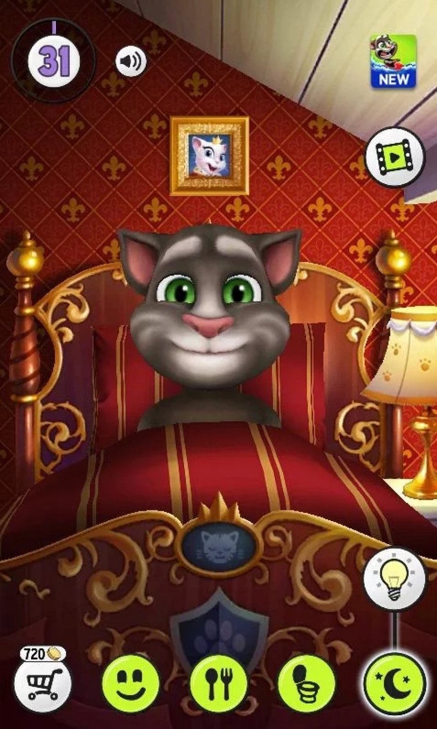 Talking tom 2016. Мой том. Talking tom. Том говорящий том. My talking tom 1.