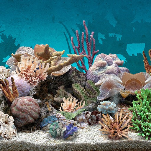 Aplikasi Wallpaper Aquarium 3d Image Num 67