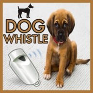 Dog Whistle