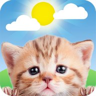 Weather Kitty - Forecast, Radar & Cat Pictures