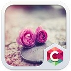 Pink Roses Theme C Launcher