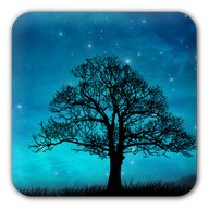 Dream Night Free LiveWallpaper