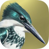 iBird Lite Free Guide to Birds