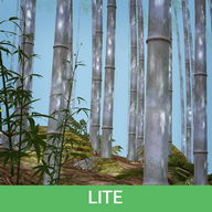 Bamboo Forest 3D Live Wallpaper Lite