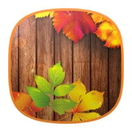 Autumn Time Free Live Wallpaper