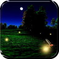 Fireflies Live Wallpaper