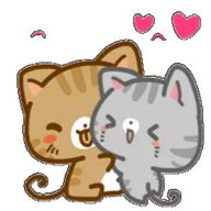 WA Stickers Ciudad Gatuna para Whatsapp