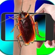 Cockroach On Hand Mega Prank