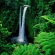 Waterfall live wallpaper