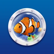 Coral Fish Live Wallpaper