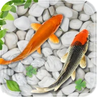 Fish Live Wallpaper Aquarium