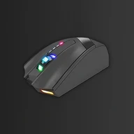 Mouse Conversion