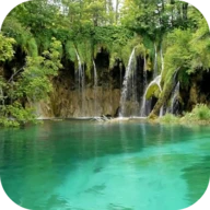 Waterfall Video Live Wallpaper