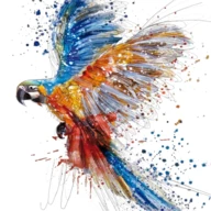 Colorize Photo & Video Editor