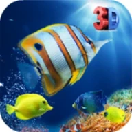 Aquarium Fish Live Wallpaper