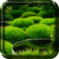 Garden Live Wallpaper