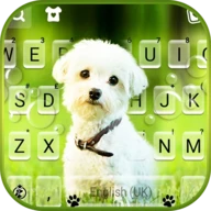 Cute Innocent Puppy Keyboard B